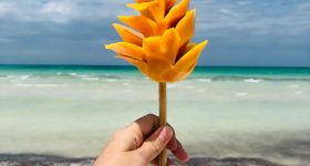 Manga cortada em forma de flor em Holbox, com apresentação tropical colorida.