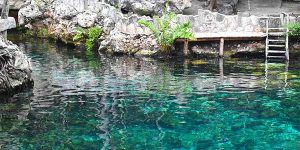 Cenote em ambiente tropical
