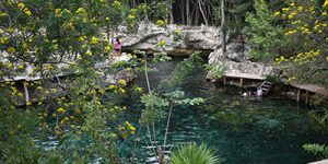 Cenote natural cercado por vegetação