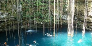 Cenote Saamal com água cristalina e vegetação natural