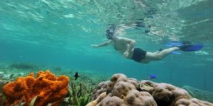 Recifes de coral em Akumal com grande diversidade de vida marinha