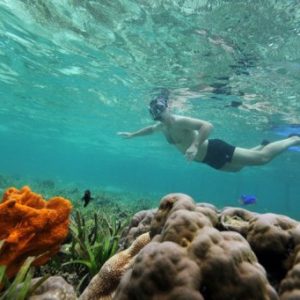 Recifes de coral em Akumal com grande diversidade de vida marinha