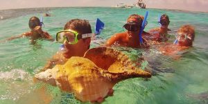 Homem segurando um caracol marinho na praia, com o mar do Caribe ao fundo.